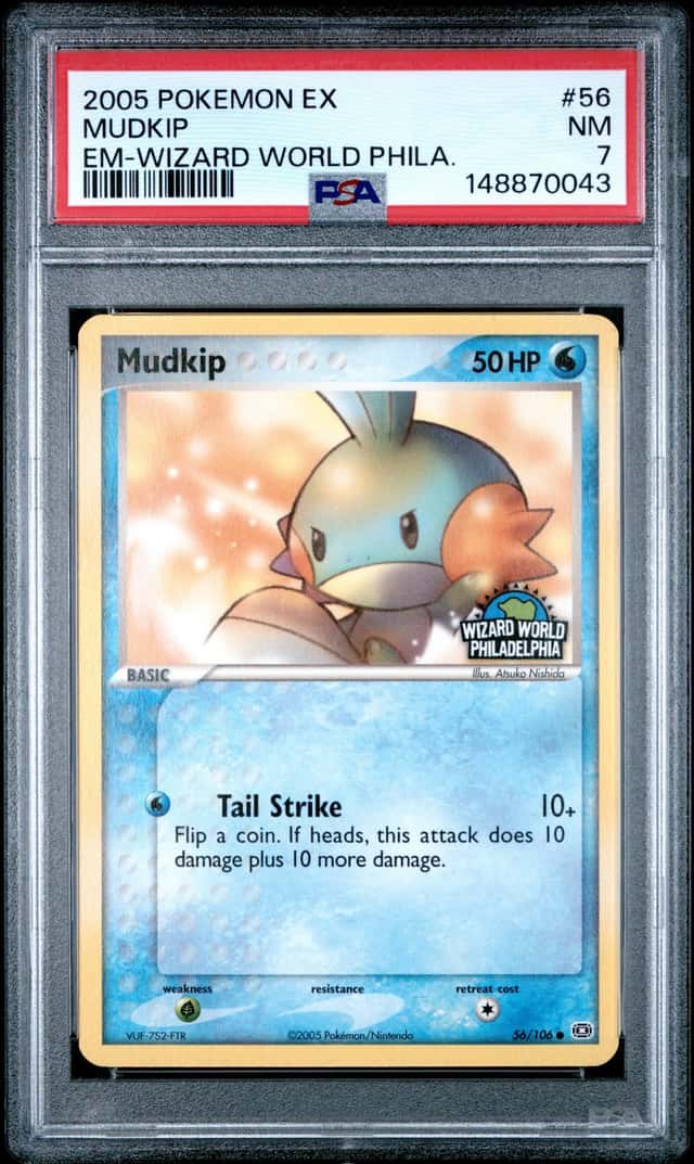 Mudkip