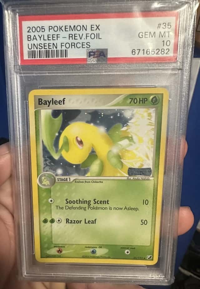 Bayleef