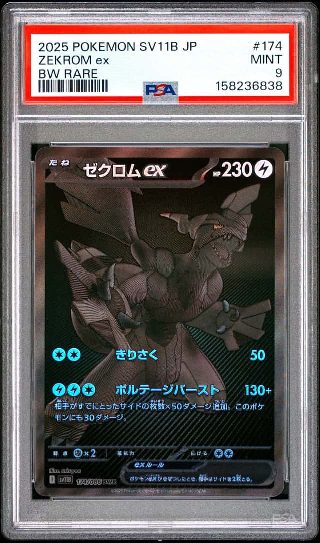 ZEKROM ex