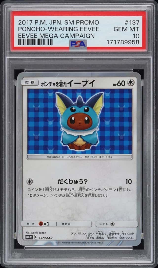 Poncho-wearing Eevee