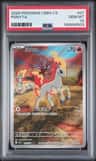 Ponyta