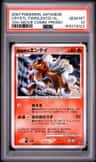 Crystal Tower'S Entei