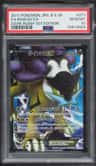 Raikou Ex