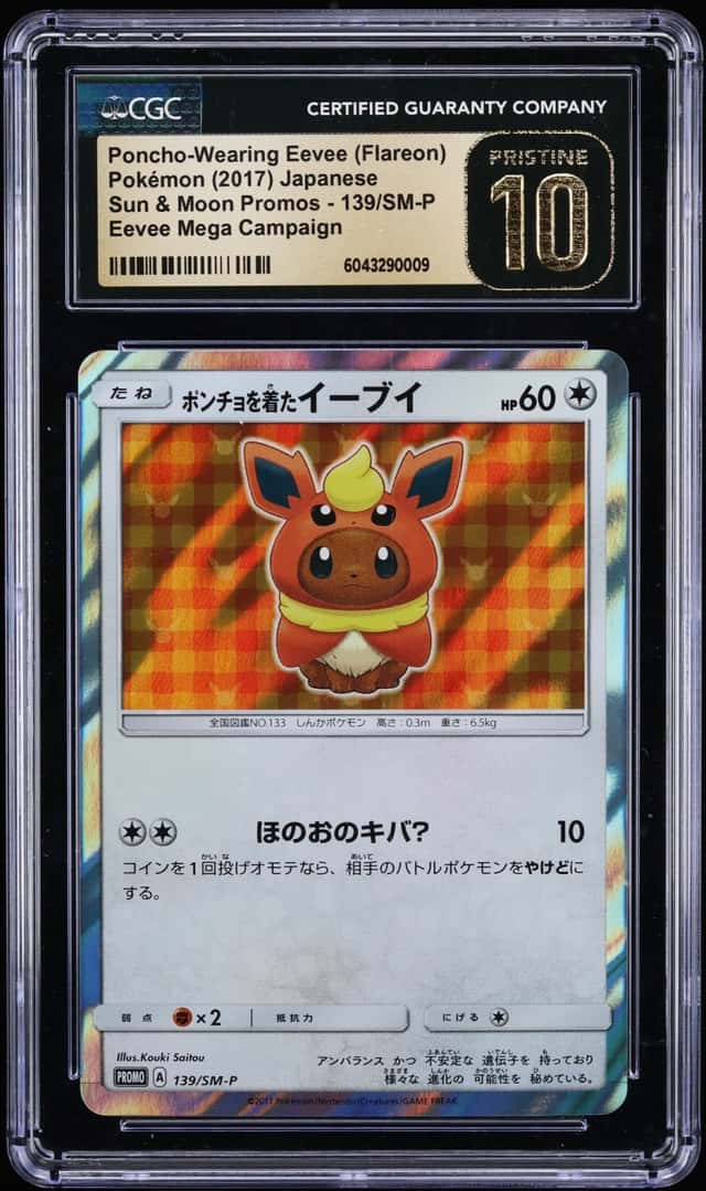 Poncho-Wearing Eevee