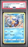 Wartortle