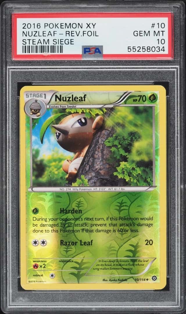 NUZLEAF