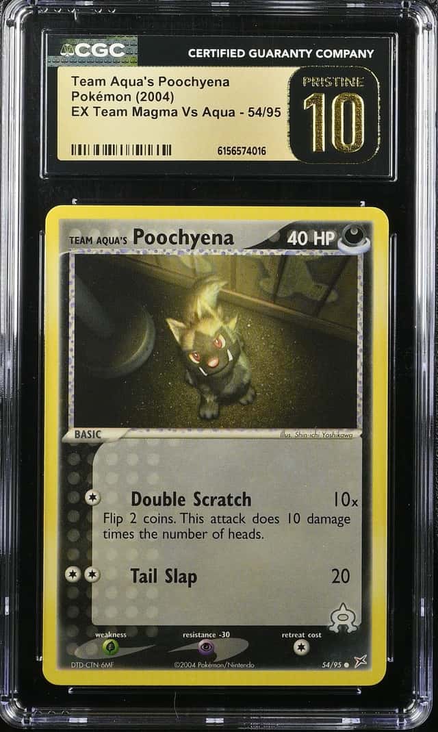 Aqua's Poochyena