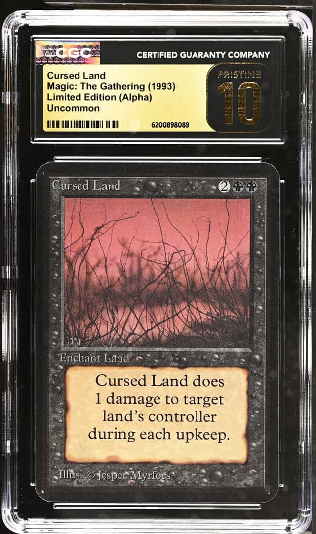 Cursed Land