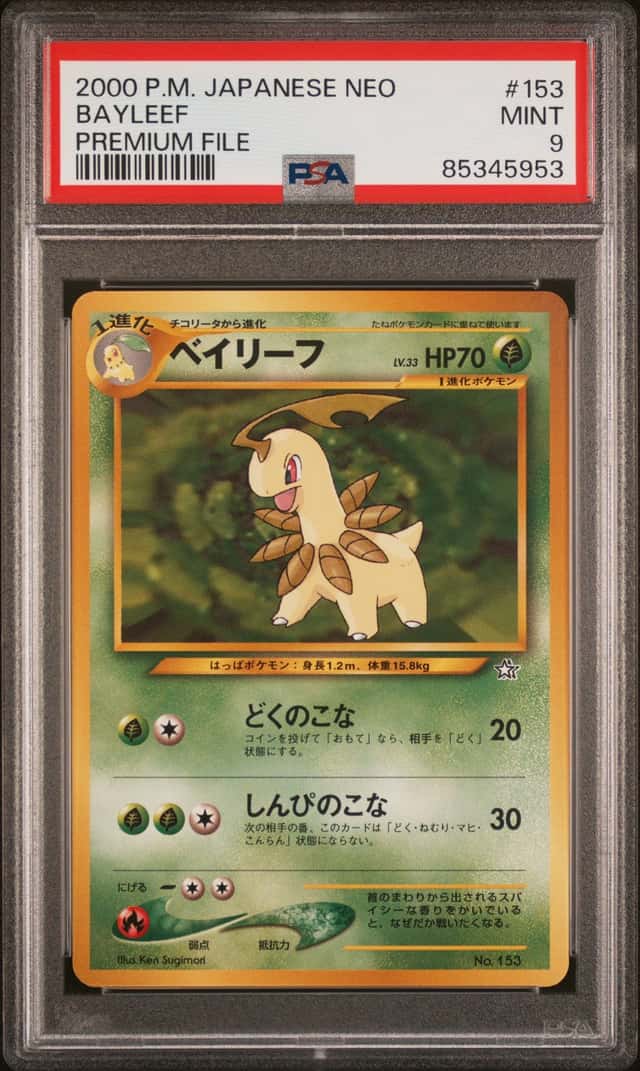 Bayleef