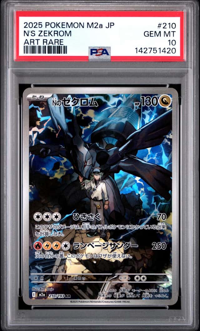N's Zekrom
