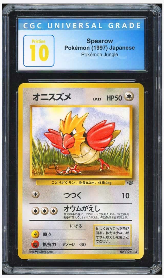 Spearow