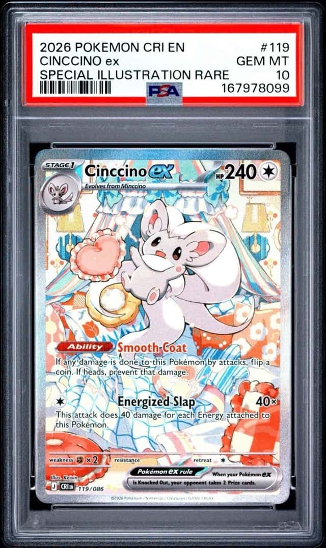 CINCCINO ex