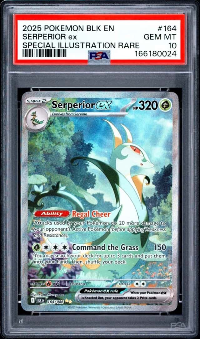 SERPERIOR ex