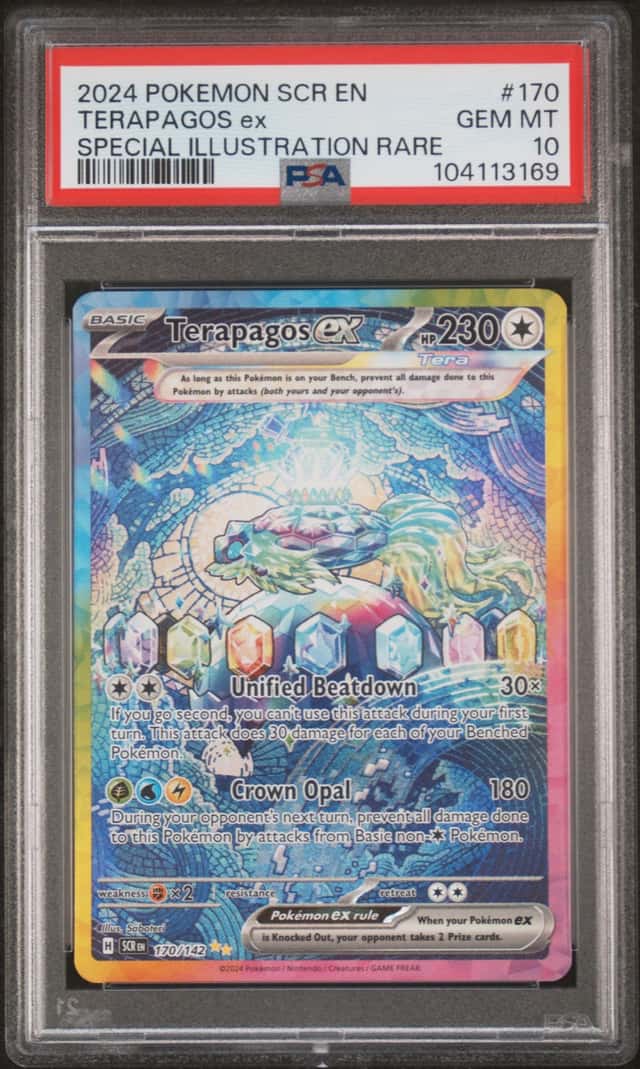 TERAPAGOS ex