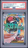 Mega Lucario Ex