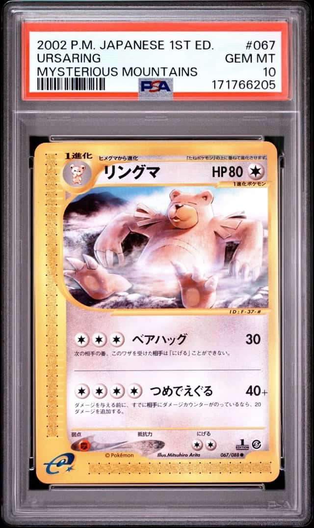 Ursaring