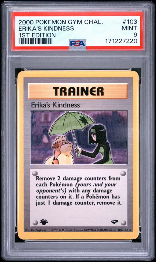 Erika's Kindness