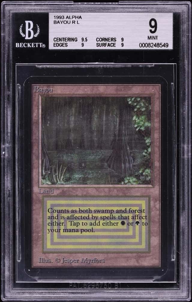 Bayou