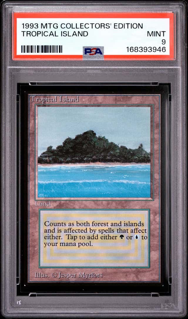 Tropical Island