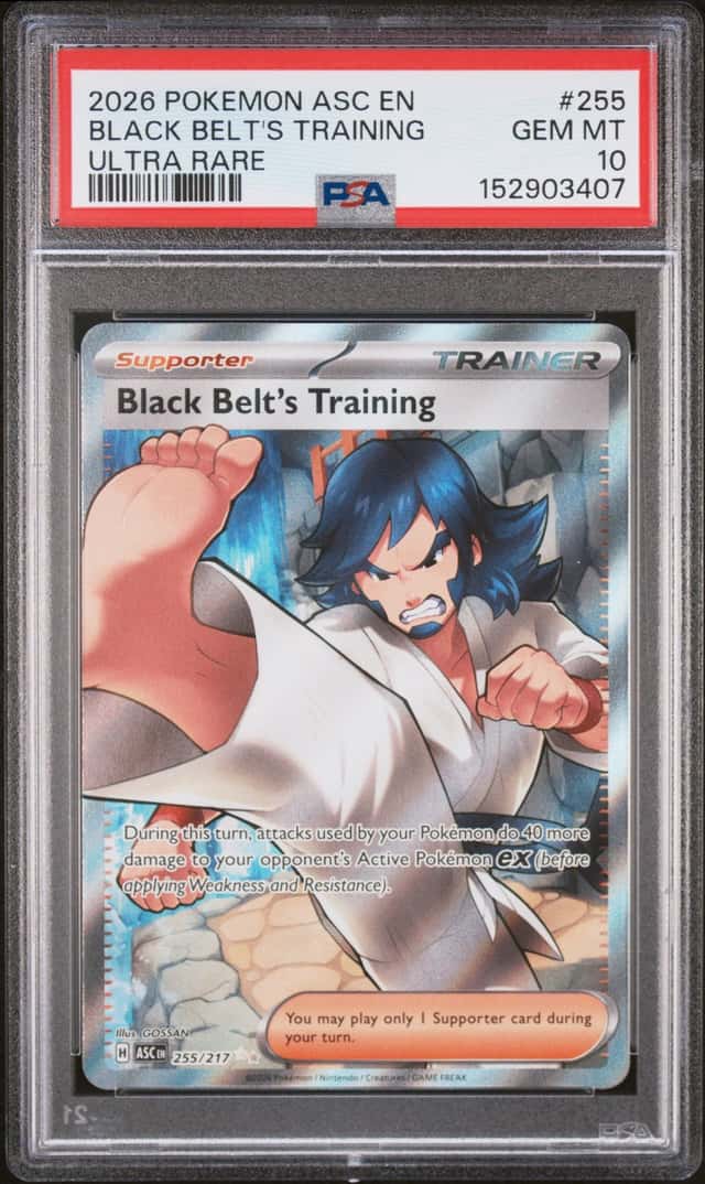 Black Belt's Training