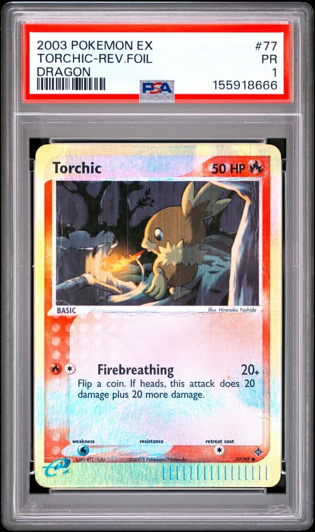 Torchic
