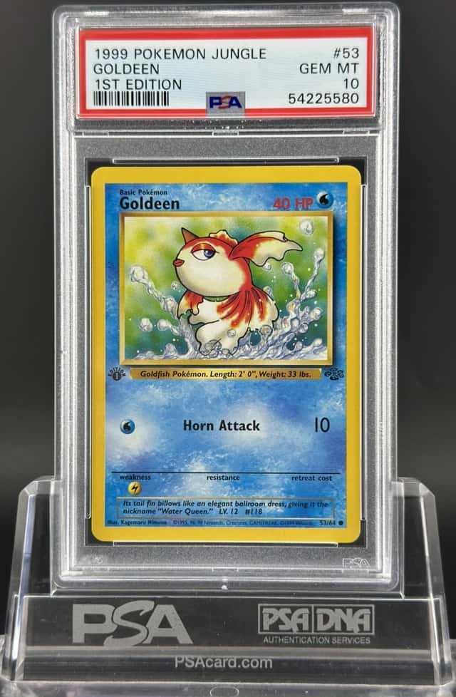 Goldeen