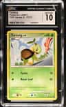 Turtwig