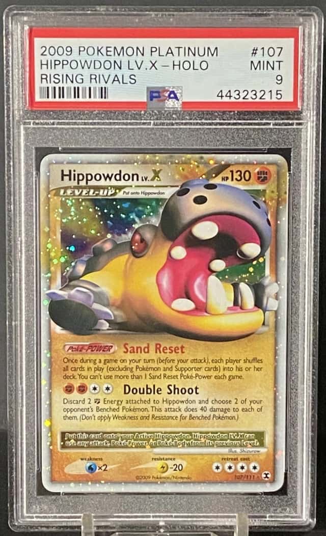 Hippowdon Lv X