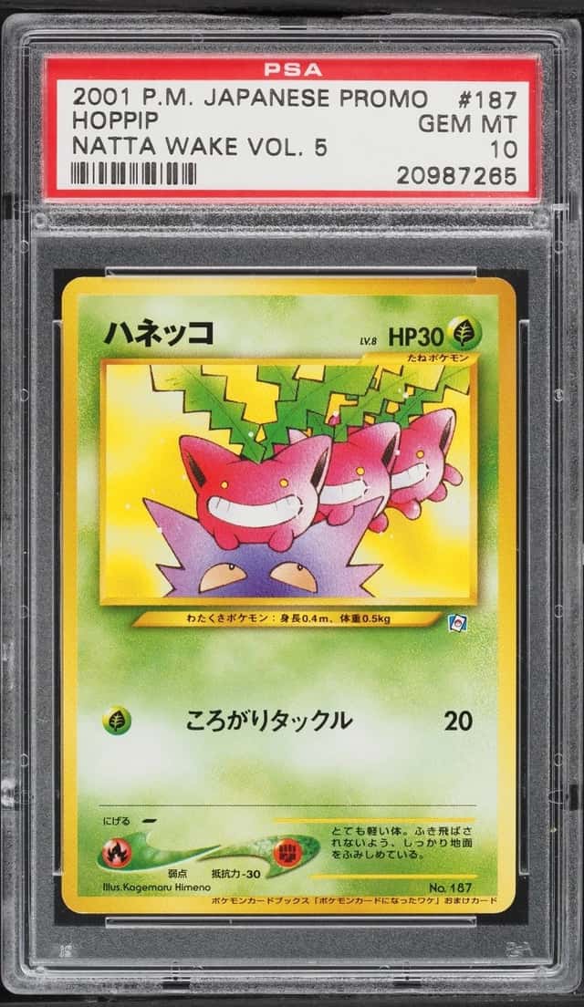 Hoppip