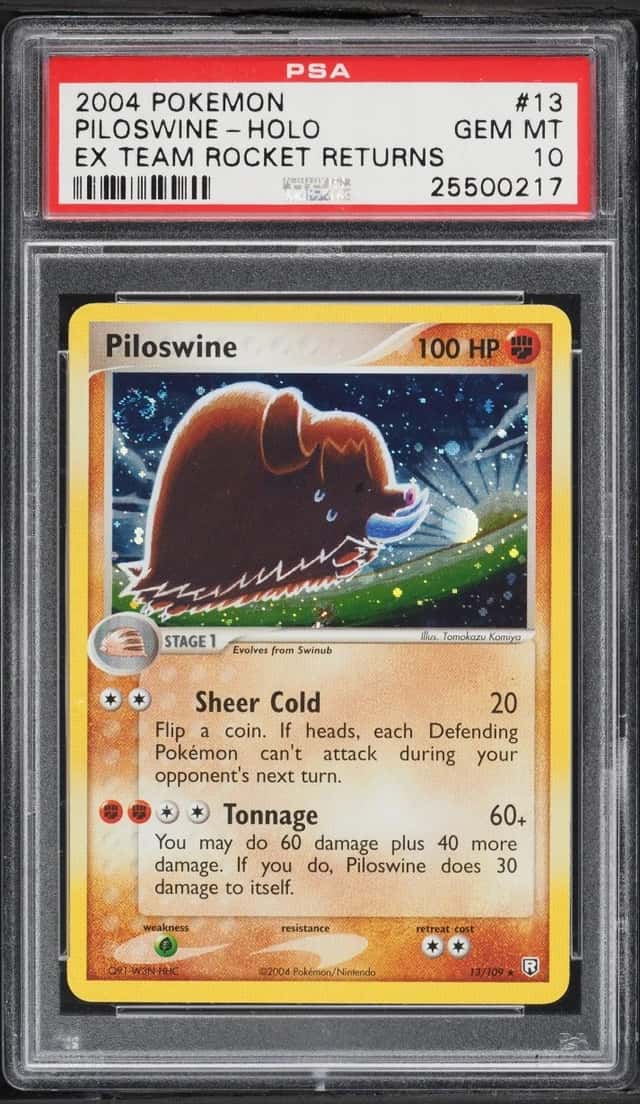 Piloswine