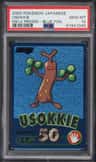 Usokkie