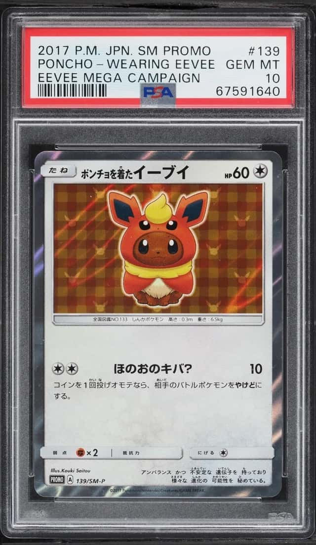 Poncho-Wearing Eevee