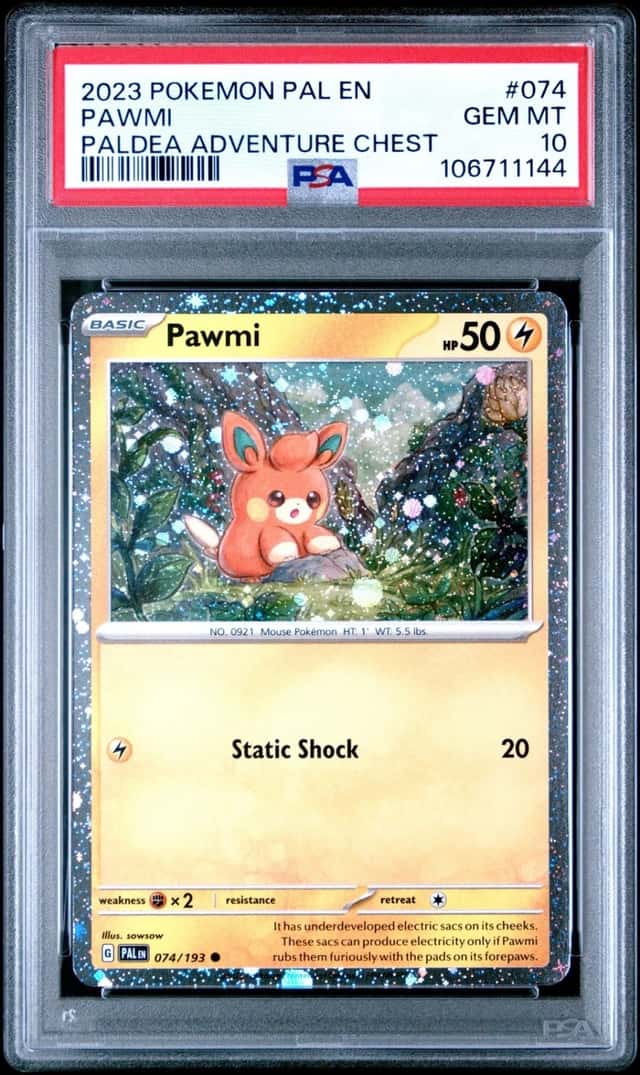Pawmi
