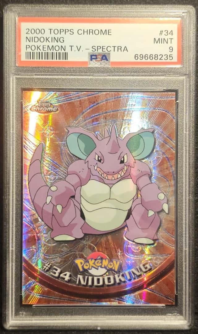 Nidoking
