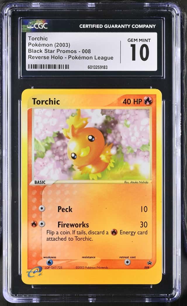 Torchic