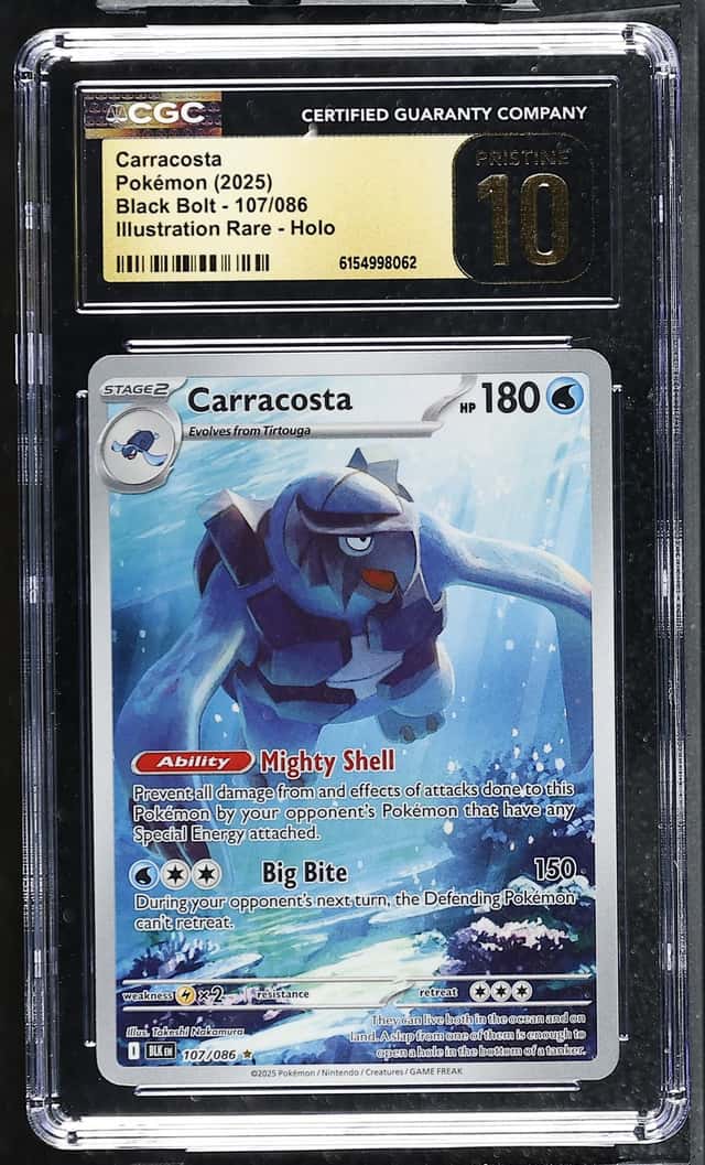 Carracosta