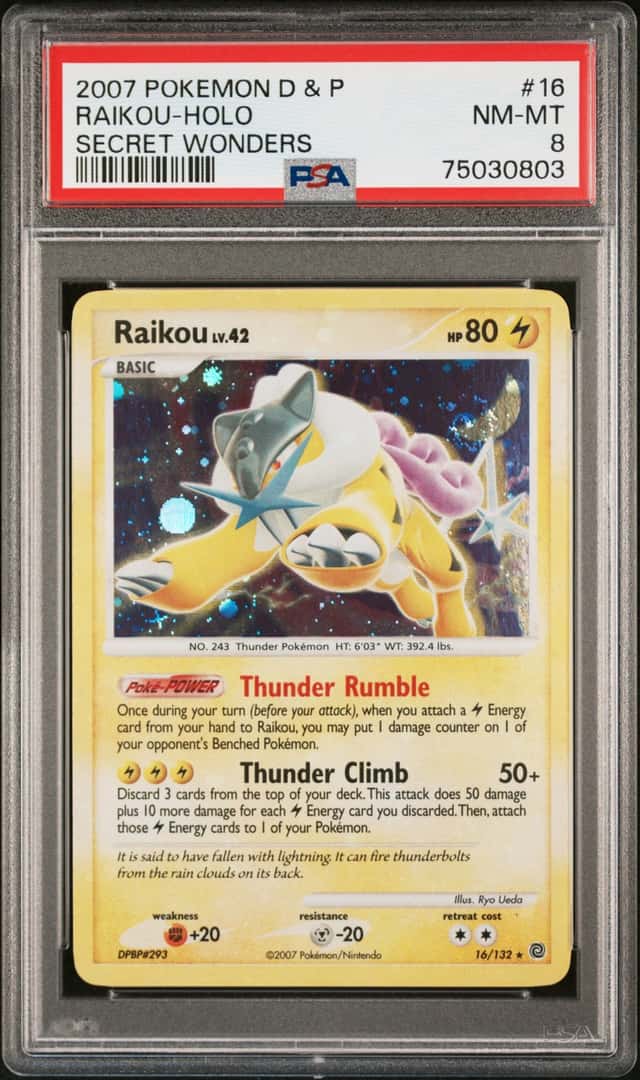 Raikou