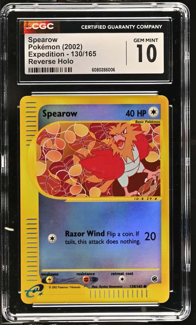 Spearow