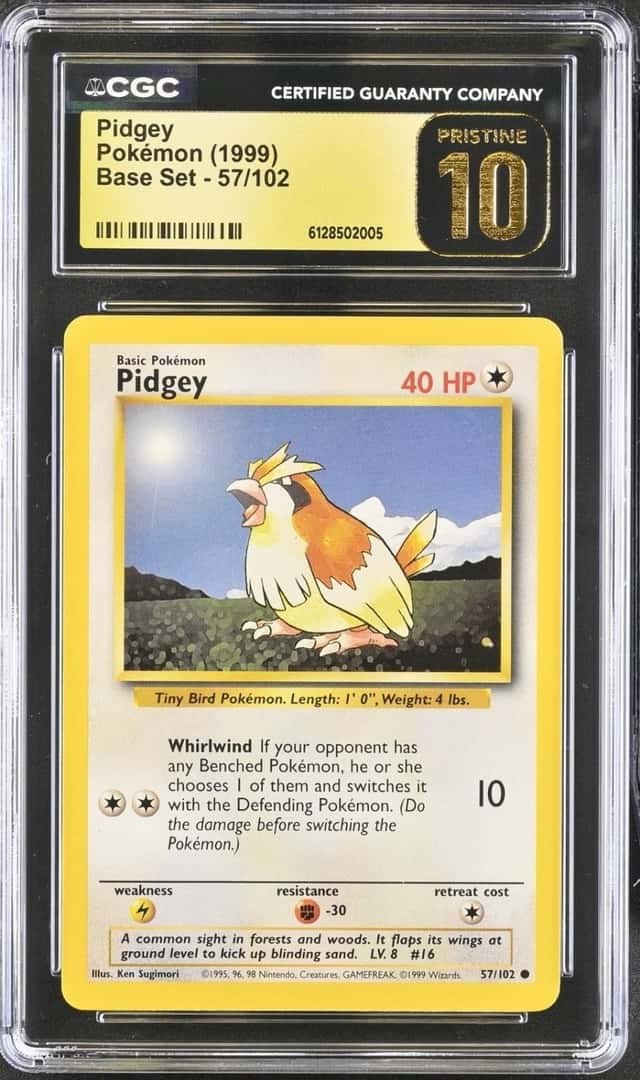 Pidgey