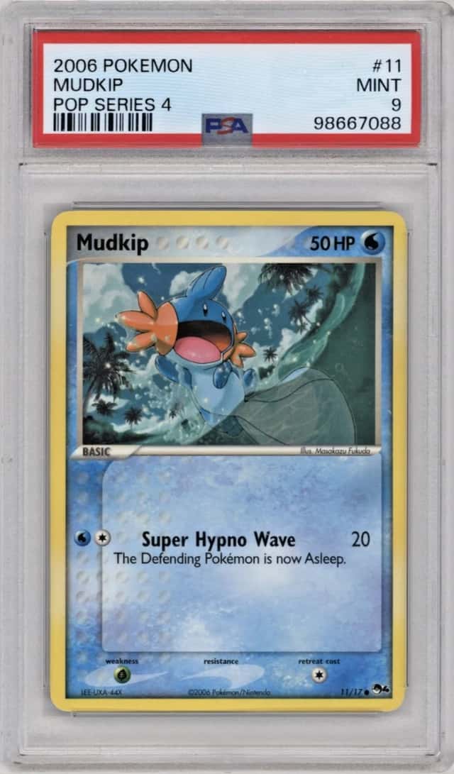 Mudkip