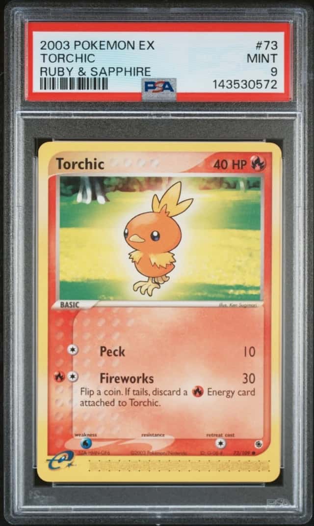 Torchic