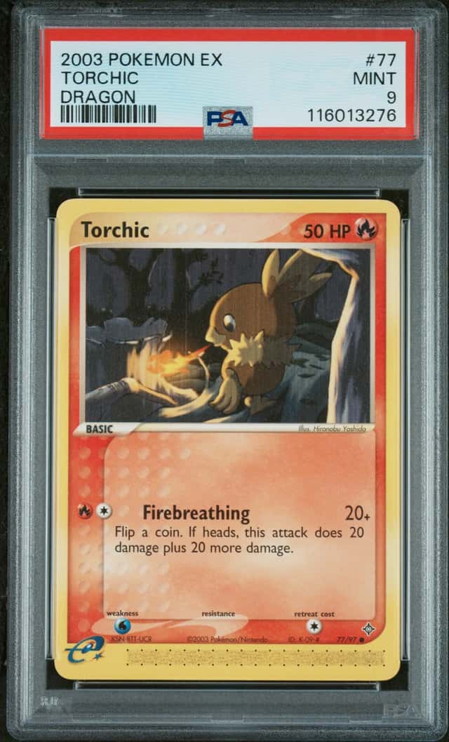 Torchic
