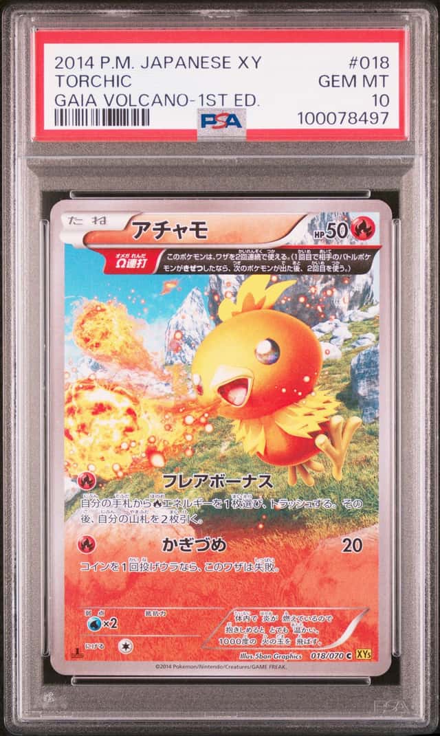 Torchic