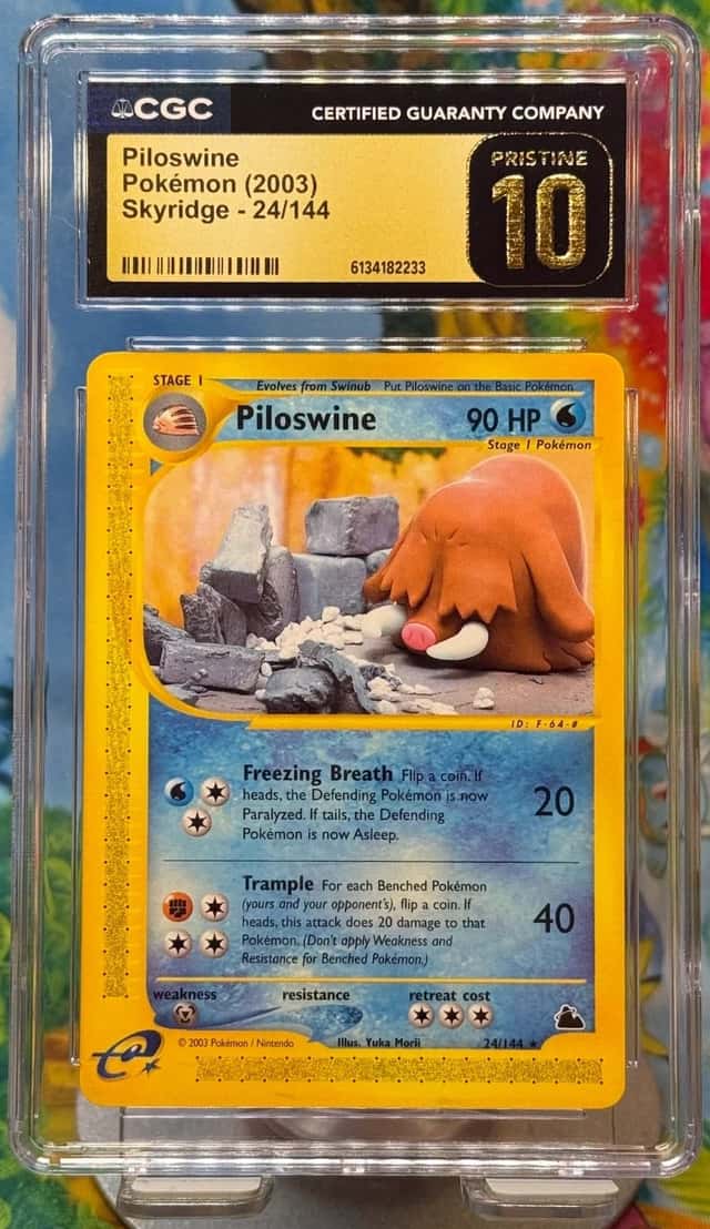Piloswine