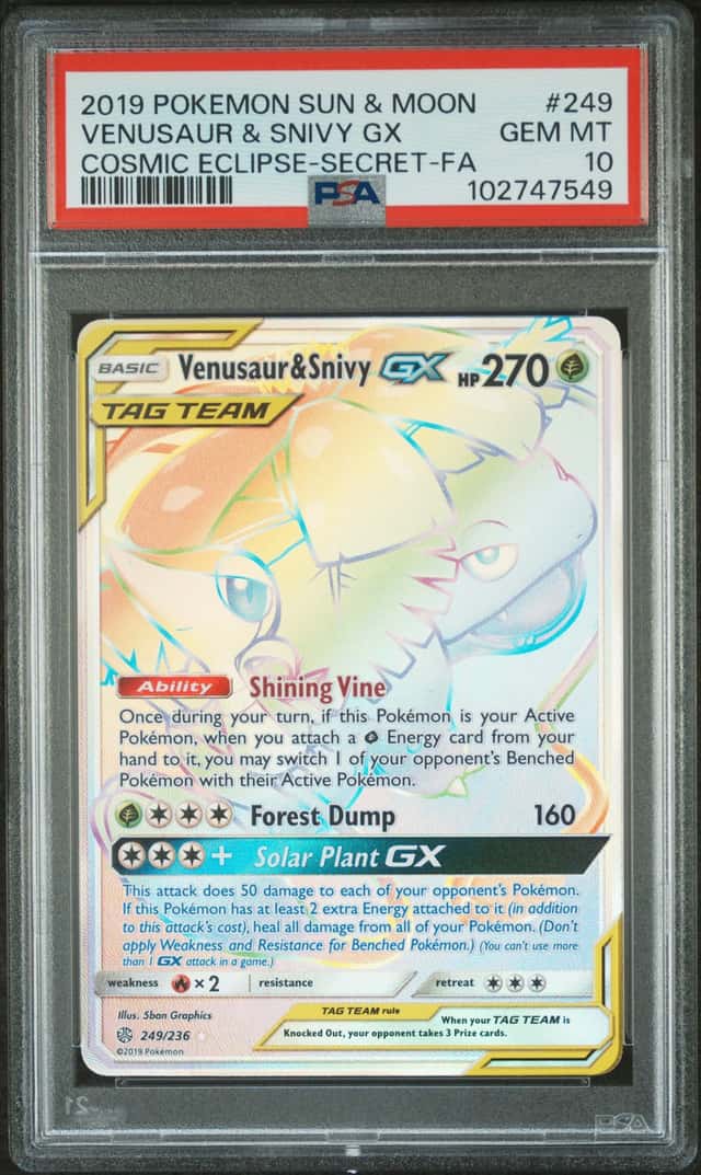 Venusaur & Snivy GX