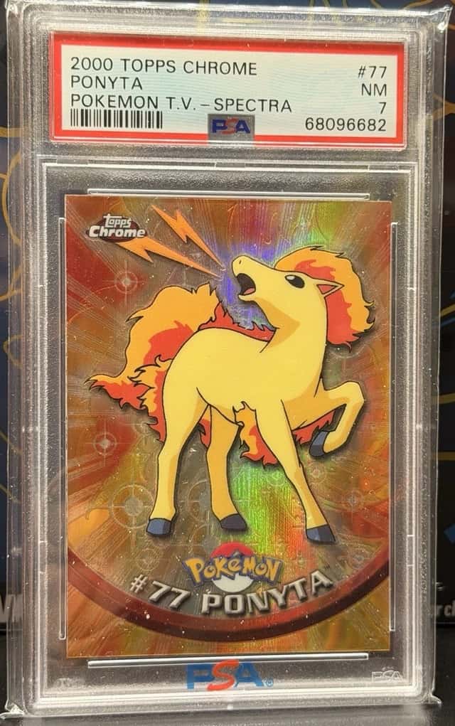 Ponyta