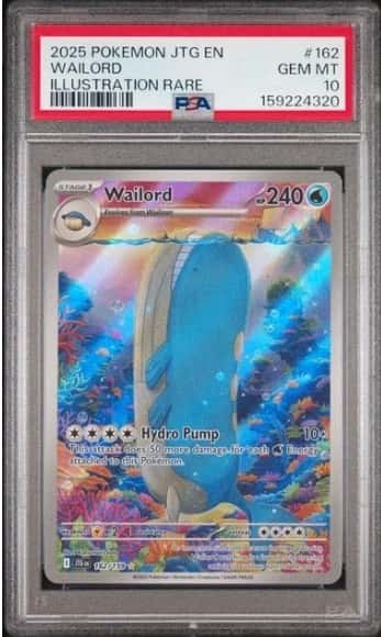 Wailord