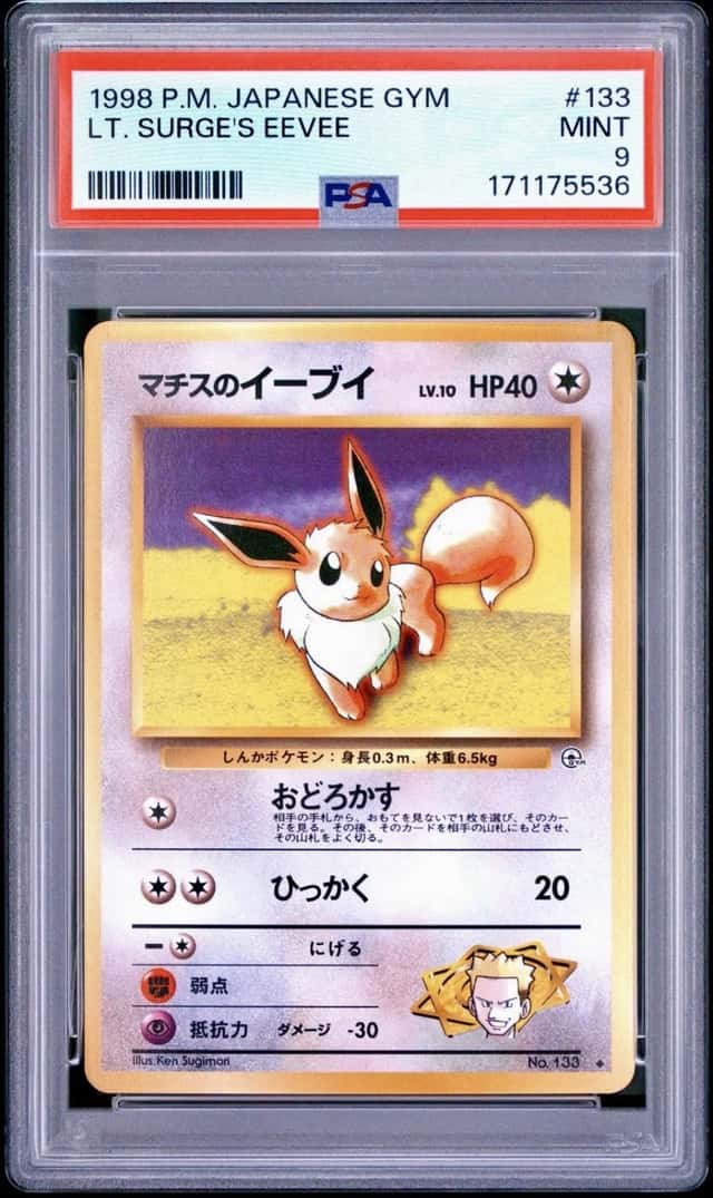 Lt. Surge's Eevee
