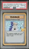 Imposter Professor Oak