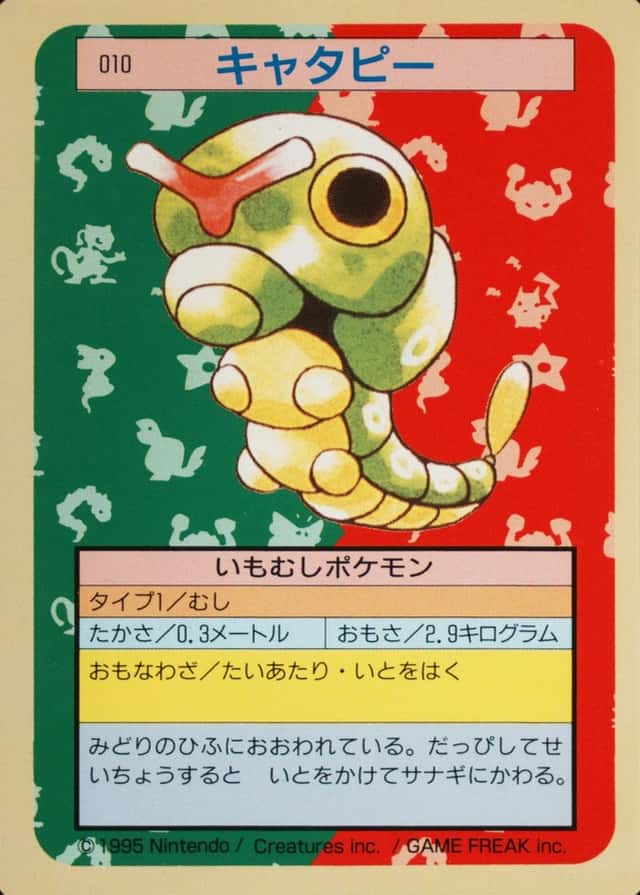 Green Back